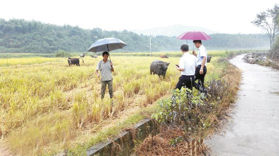 茶庵镇人口_茶庵寺图片(2)