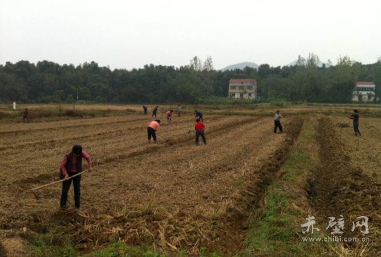 茶庵岭镇人口_白芒营镇五庵岭小奶(2)