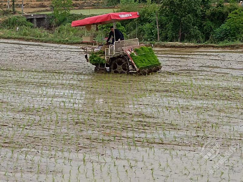 正在上传...